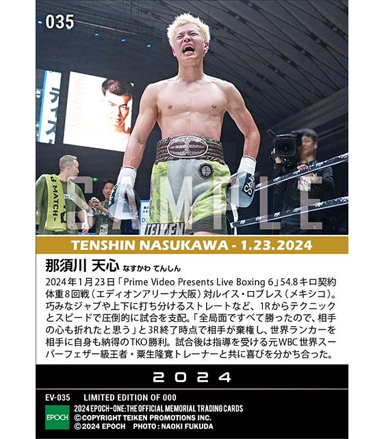 【那須川天心】世界ランカーを圧倒して初TKO勝利（24.1.23）『B』