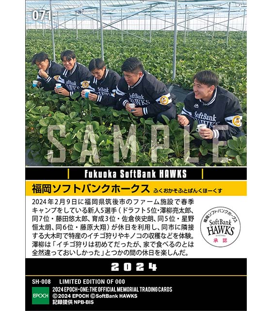 RC【福岡ソフトバンクホークス】新人5選手がイチゴ狩り体験（24.2.9）