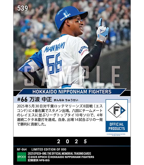 【万波中正】リーグトップタイ10号ソロで4年連続二ケタ本塁打達成（25.5.30）